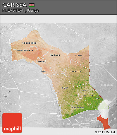 Satellite 3D Map of GARISSA, lighten, desaturated