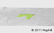 Physical Panoramic Map of CENTRAL, lighten, desaturated