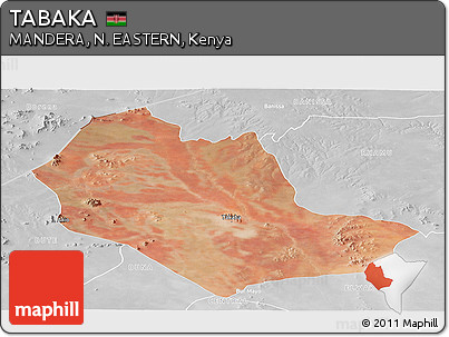 Satellite Panoramic Map of TABAKA, lighten, desaturated