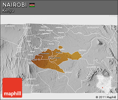 Physical 3D Map of NAIROBI, lighten, desaturated