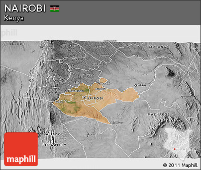 Satellite 3D Map of NAIROBI, desaturated