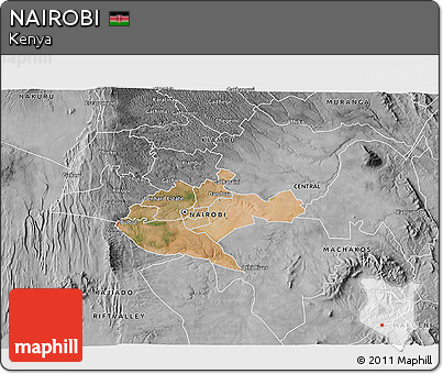 Satellite 3D Map of NAIROBI, desaturated