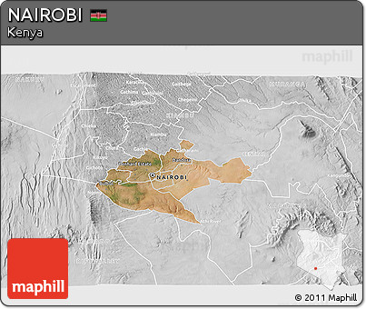 Satellite 3D Map of NAIROBI, lighten, desaturated