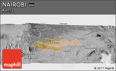 Satellite Panoramic Map of NAIROBI, desaturated
