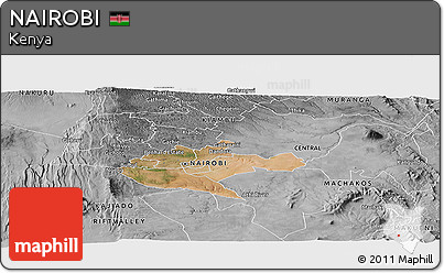 Satellite Panoramic Map of NAIROBI, desaturated