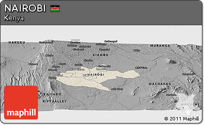 Shaded Relief Panoramic Map of NAIROBI, darken, desaturated
