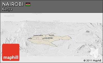 Shaded Relief Panoramic Map of NAIROBI, lighten, desaturated
