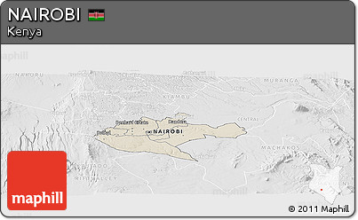Shaded Relief Panoramic Map of NAIROBI, lighten, desaturated
