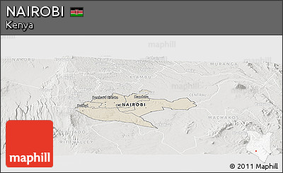 Shaded Relief Panoramic Map of NAIROBI, lighten, semi-desaturated