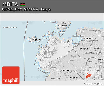 Silver Style 3D Map of MBITA