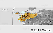 Physical Panoramic Map of MBITA, desaturated