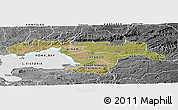Satellite Panoramic Map of KISUMU, desaturated
