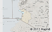 Shaded Relief Map of NYATIKE, semi-desaturated