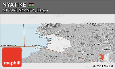 Gray Panoramic Map of NYATIKE
