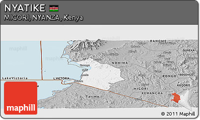 Gray Panoramic Map of NYATIKE