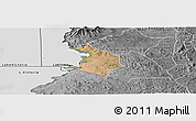 Satellite Panoramic Map of NYATIKE, desaturated