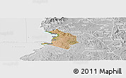 Satellite Panoramic Map of NYATIKE, lighten, desaturated