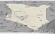Shaded Relief Panoramic Map of Kenya, darken, desaturated