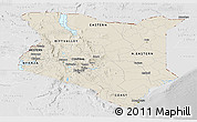 Shaded Relief Panoramic Map of Kenya, lighten, desaturated