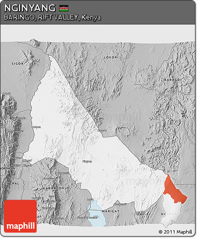 Gray 3D Map of NGINYANG
