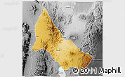 Physical 3D Map of NGINYANG, desaturated