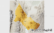 Physical 3D Map of NGINYANG, lighten, semi-desaturated