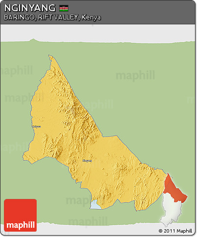 Savanna Style 3D Map of NGINYANG, single color outside