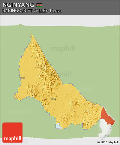 Savanna Style 3D Map of NGINYANG, single color outside