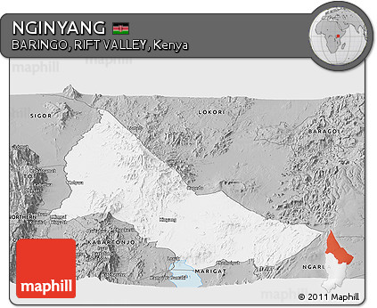 Gray Panoramic Map of NGINYANG