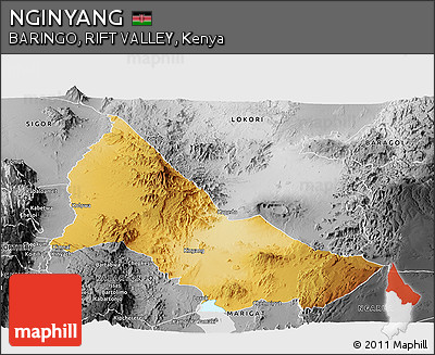 Physical Panoramic Map of NGINYANG, desaturated