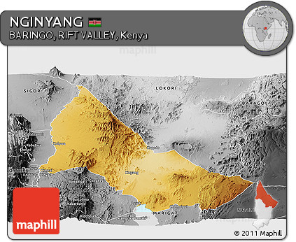 Physical Panoramic Map of NGINYANG, desaturated