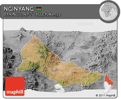 Satellite Panoramic Map of NGINYANG, desaturated
