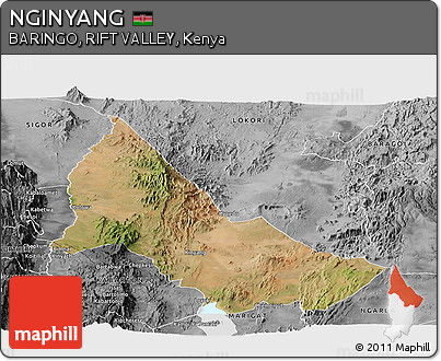 Satellite Panoramic Map of NGINYANG, desaturated