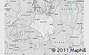 Silver Style Map of RAVINE