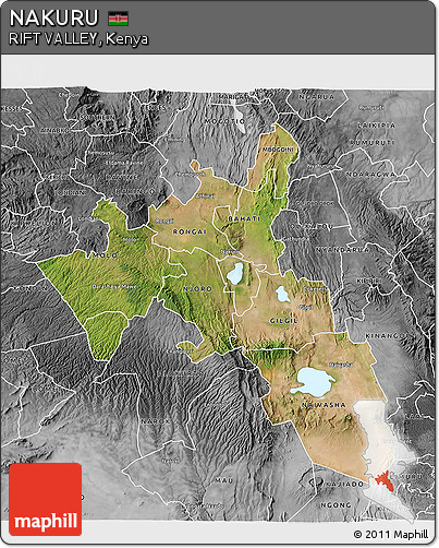 Satellite 3D Map of NAKURU, desaturated