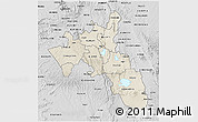 Shaded Relief 3D Map of NAKURU, desaturated