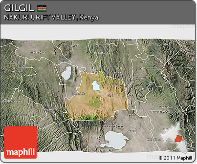 Satellite 3D Map of GILGIL, semi-desaturated
