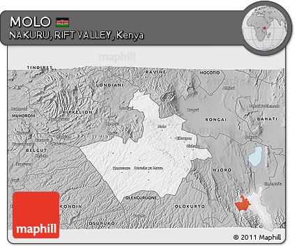 Gray 3D Map of MOLO