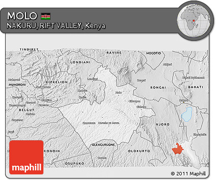 Silver Style 3D Map of MOLO