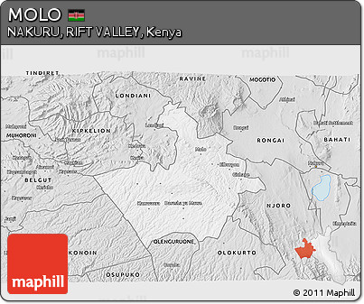 Silver Style 3D Map of MOLO