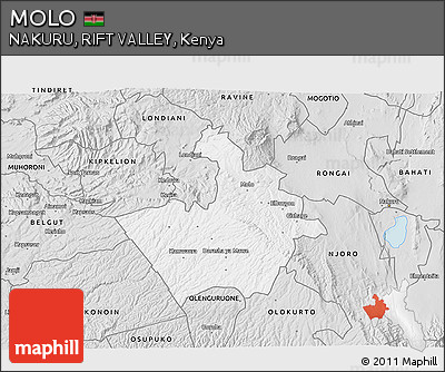 Silver Style 3D Map of MOLO