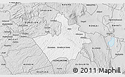 Silver Style 3D Map of MOLO