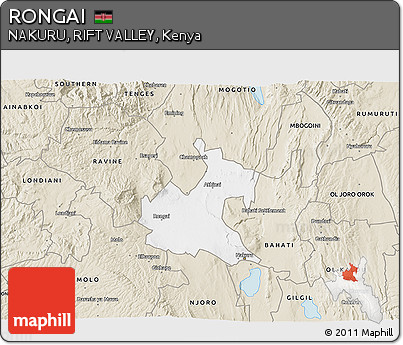 Classic Style 3D Map of RONGAI