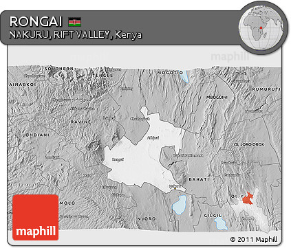 Gray 3D Map of RONGAI