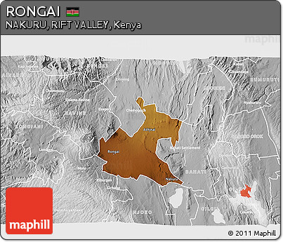 Physical 3D Map of RONGAI, lighten, desaturated