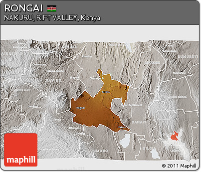 Physical 3D Map of RONGAI, lighten, semi-desaturated