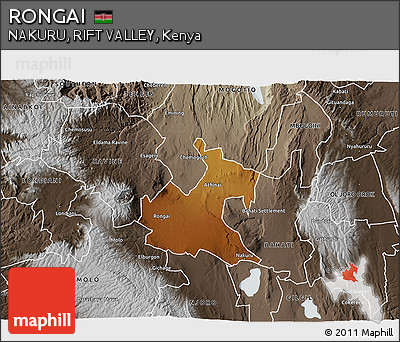 Physical 3D Map of RONGAI, semi-desaturated