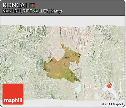 Satellite 3D Map of RONGAI, lighten