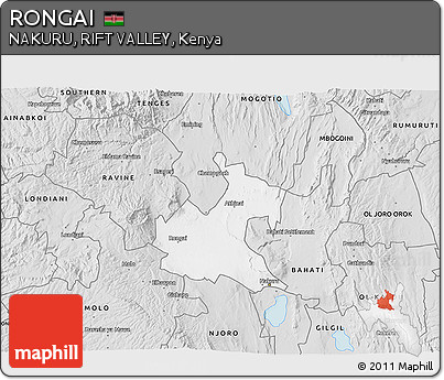 Silver Style 3D Map of RONGAI