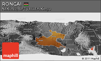 Physical Panoramic Map of RONGAI, desaturated
